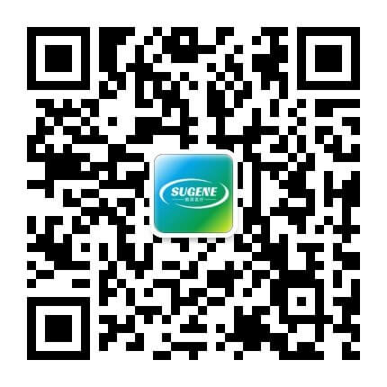 成都数因医疗科技有限公司